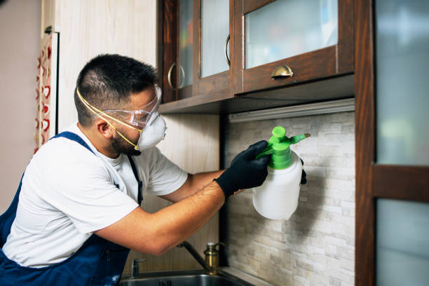 Best Insect Control  in Brookville, NY