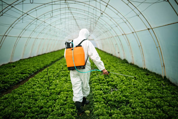 Best Emergency Pest Control  in Brookville, NY