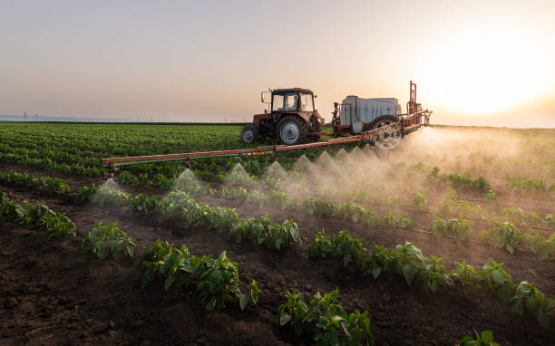 Best Commercial Pest Control Services  in Brookville, NY
