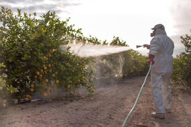 Best Cockroach Control Services  in Brookville, NY