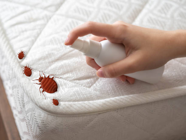 Brookville, NY Pest Control Company