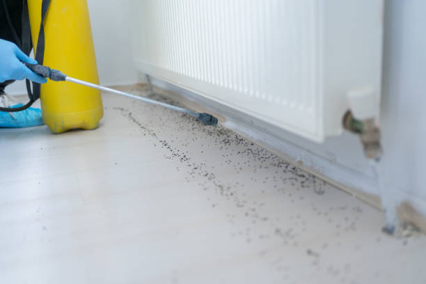 Best Best Pest Control Companies  in Brookville, NY