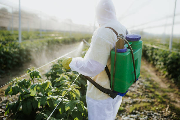 Best Affordable Pest Control Services  in Brookville, NY